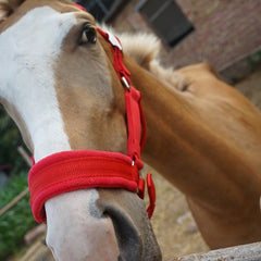 Wear-Resistant Webbing Horse Bridle, Bridle, Equestrian Bridle, Horse Stable Equipment, Horse Walking Leash, Webbing Bridle