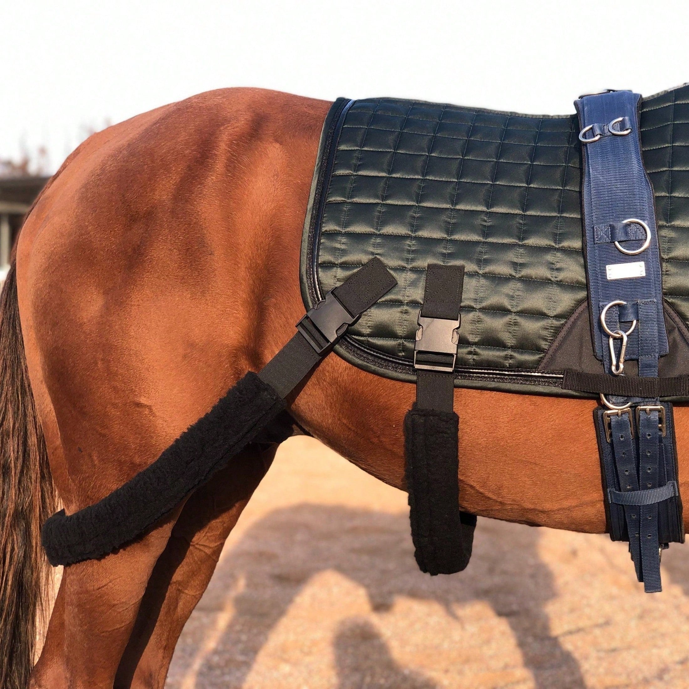 TGW RIDING Horse Training Saddle Pad With Detachable Elastic Band And Fur Band,1Piece