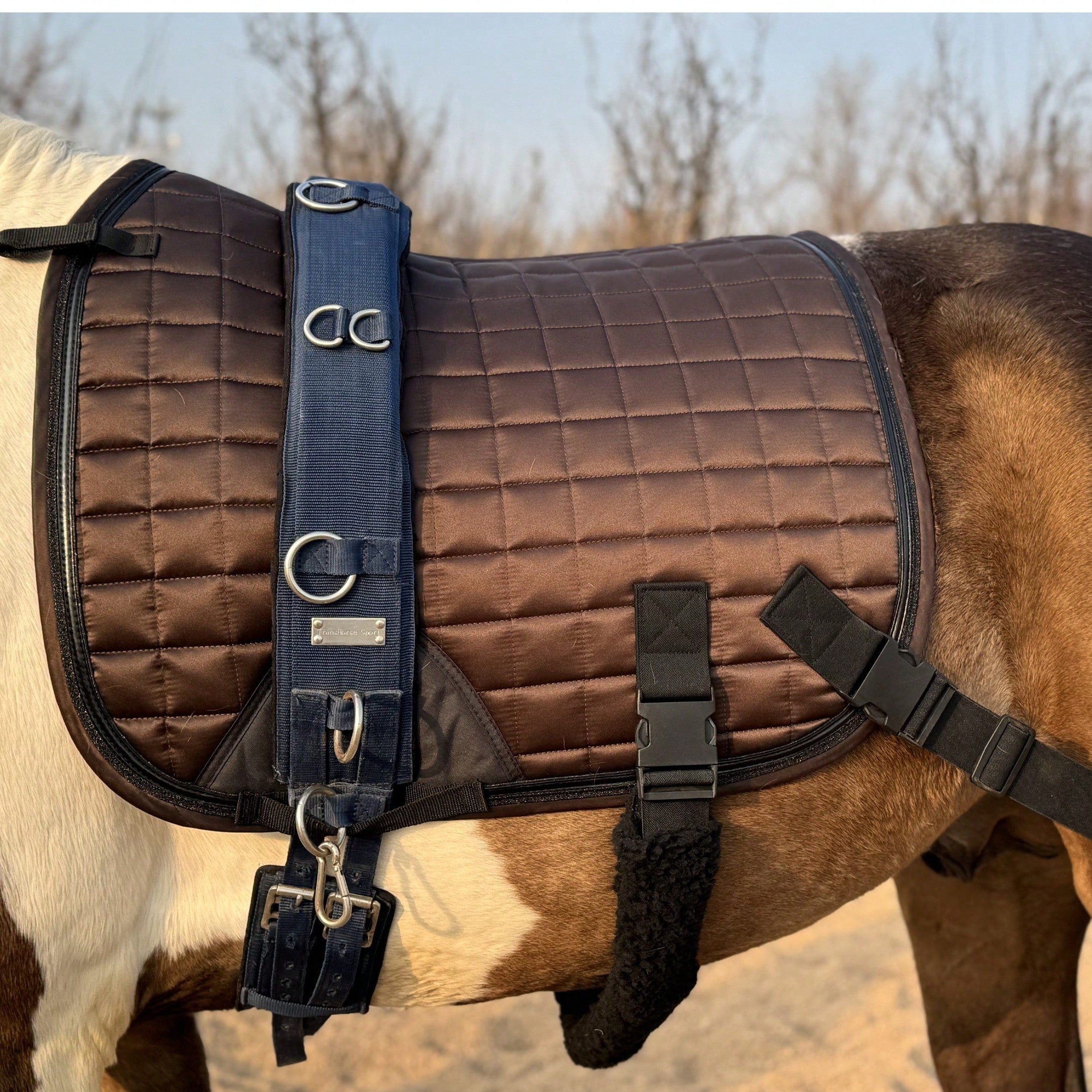 TGW RIDING Horse Training Saddle Pad With Detachable Elastic Band And Fur Band,1Piece
