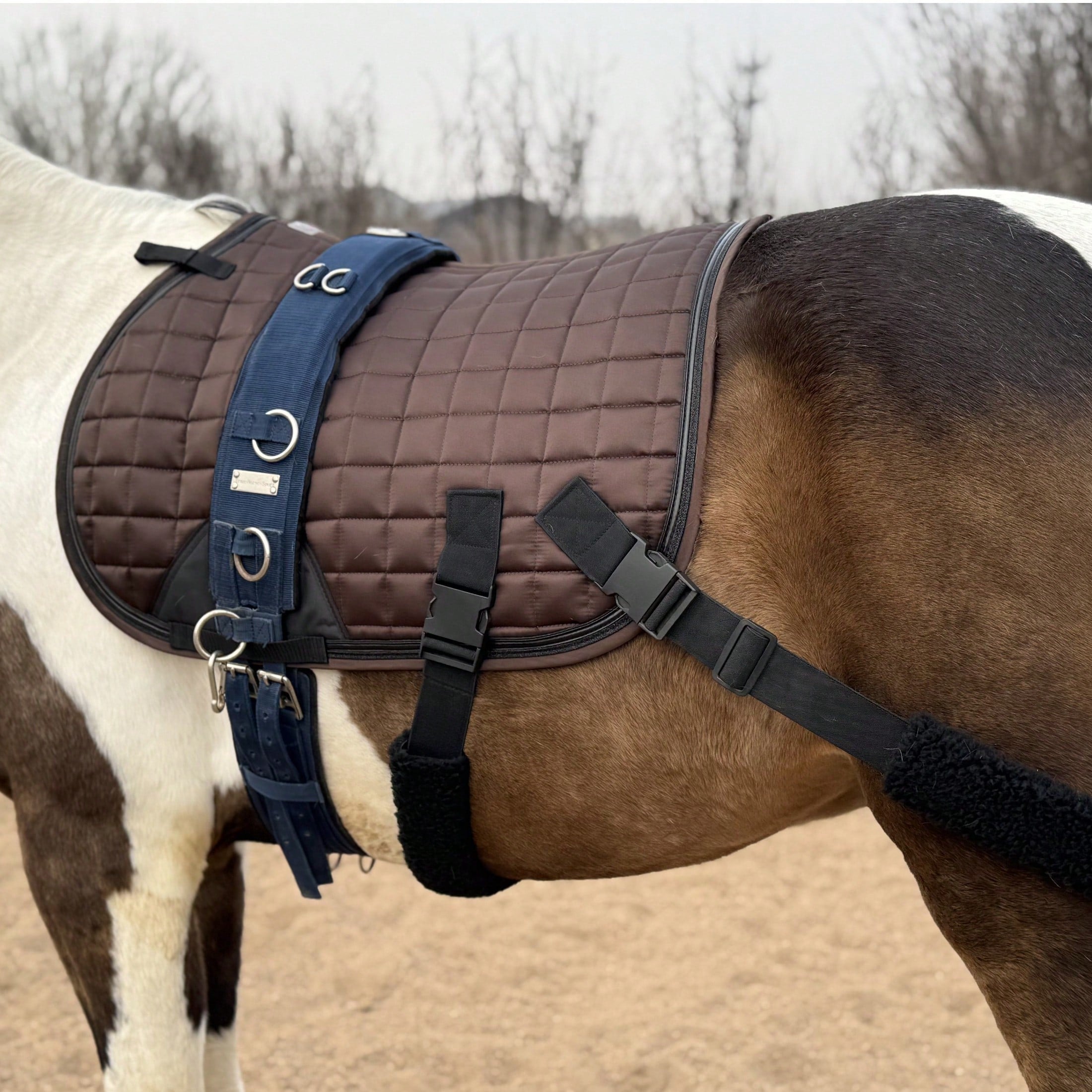 TGW RIDING Horse Training Saddle Pad With Detachable Elastic Band And Fur Band,1Piece