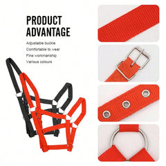 1pc High Quality Adjustable Halter, Professional Equestrian Horse Headstall With PP Webbing, Suitable For Equestrian Training And Riding, Must-Have For Outdoor Horseback Riding